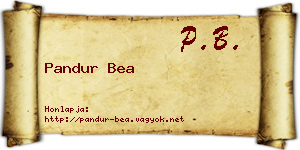 Pandur Bea névjegykártya